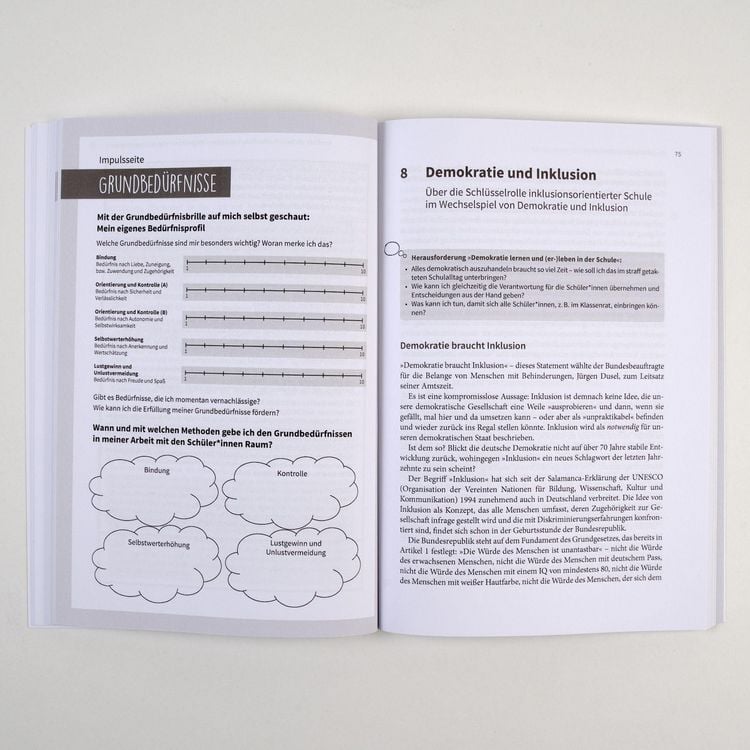 Produktbild: Schule inklusionsorientiert gestalten