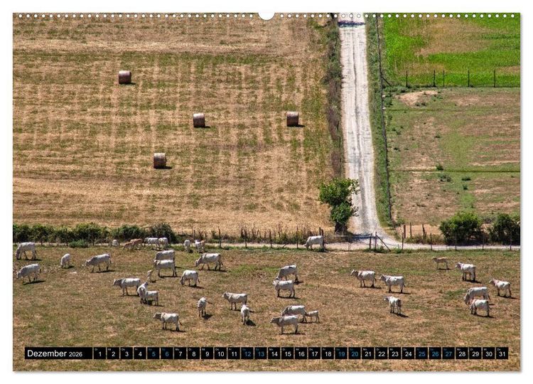 Produktbild: Die Etrusker &ndash; Hochkultur im antiken Italien (Wandkalender 2026 DIN A2 quer), CALVENDO Monatskalender