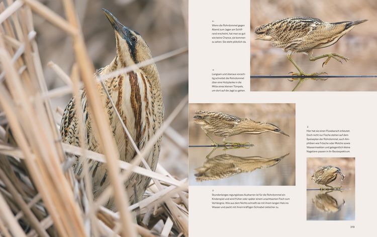 Produktbild: Die magische Welt unserer V&ouml;gel