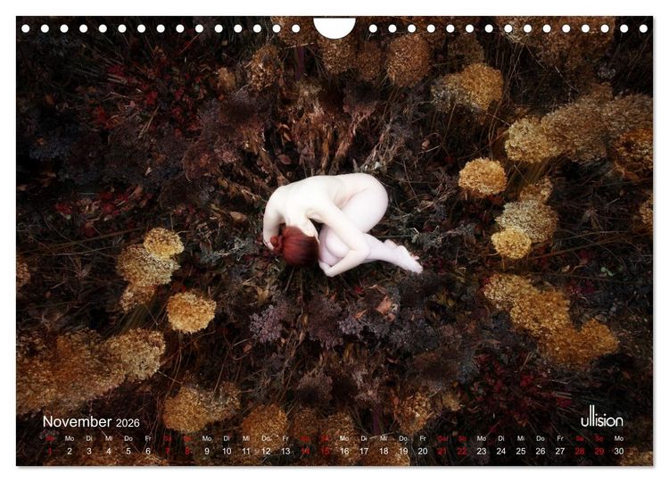 Produktbild: Poesie der Stille &ndash; Akt in der Natur (Wandkalender 2026 DIN A4 quer), CALVENDO Monatskalender