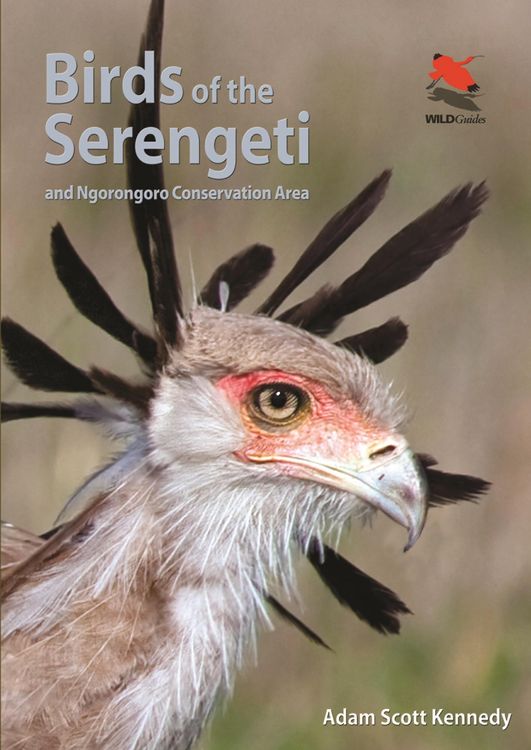 Produktbild: Birds of the Serengeti