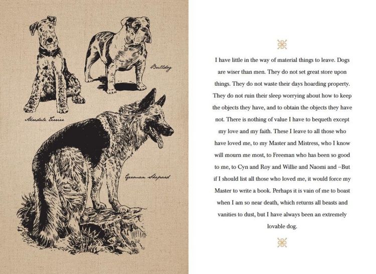 Produktbild: The Last Will and Testament of an Extremely Distinguished Dog