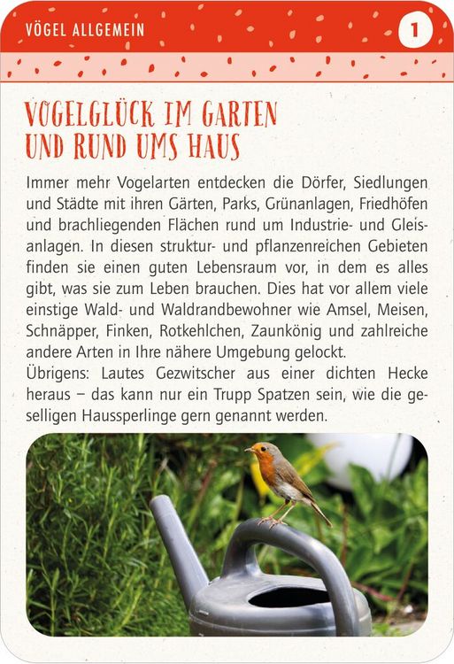 Produktbild: Blatt & Bl&uuml;te Vogelgl&uuml;ck - 50 Tipps