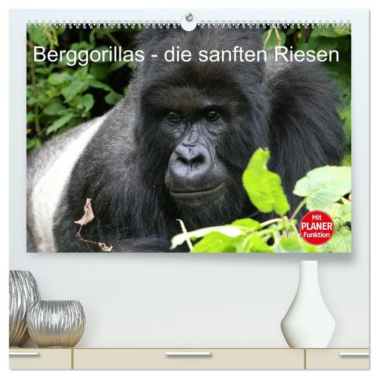 Produktbild: Berggorillas - die sanften Riesen (hochwertiger Premium Wandkalender 2027 DIN A2 quer), Kunstdruck in Hochglanz