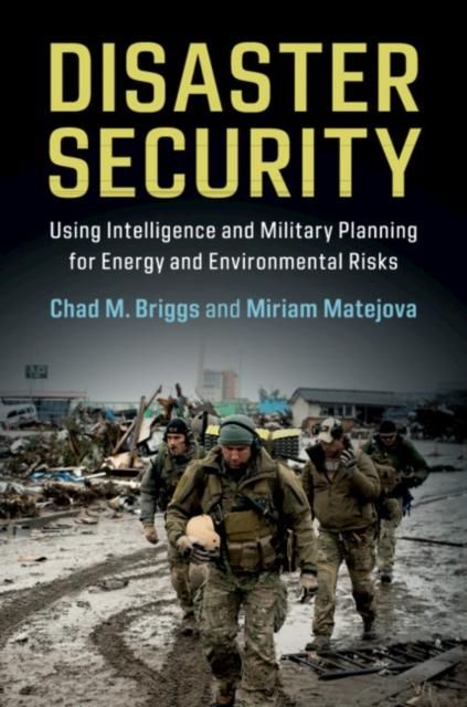 Produktbild: Disaster Security