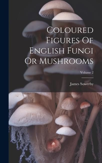 Produktbild: Coloured Figures Of English Fungi Or Mushrooms; Volume 2