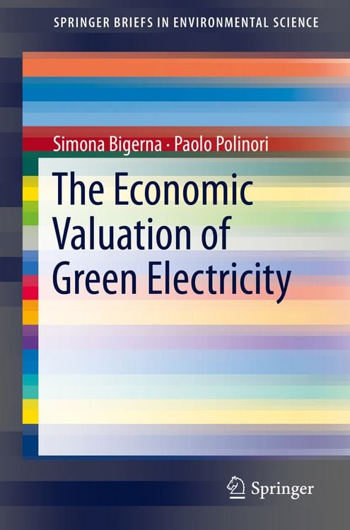 Produktbild: The Economic Valuation of Green Electricity