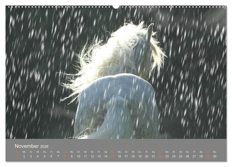Produktbild: FANTASY Pferde Horses Caballos (hochwertiger Premium Wandkalender 2026 DIN A2 quer), Kunstdruck in Hochglanz