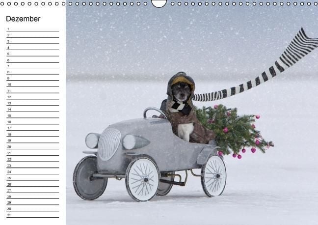 Produktbild: Jack Russell Terrier - Ein Verwandlungsk&uuml;nstler namens Jake / Geburtstagskalender (Wandkalender immerw&auml;hrend DIN A3 quer)