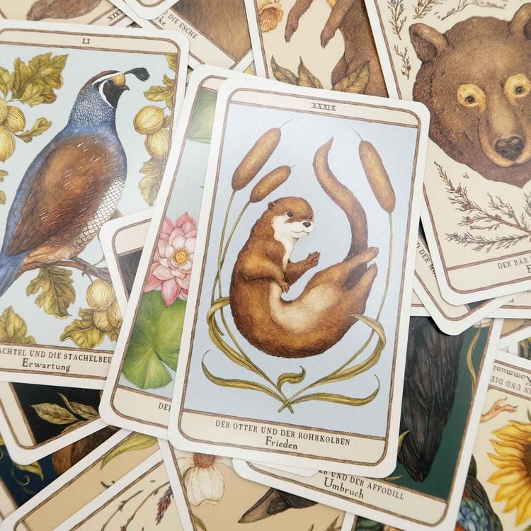 Produktbild: Woodland Wardens: 52 Orakelkarten mit Booklet