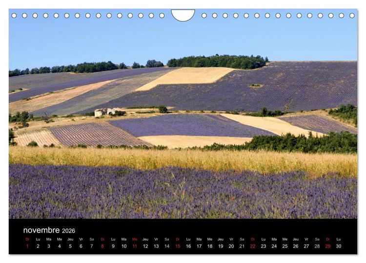 Produktbild: Lavande, l'or bleu de Provence (Calendrier mural 2026 DIN A4 vertical), CALVENDO calendrier mensuel