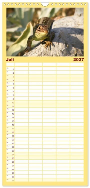 Produktbild: Familienplaner 2027 - Minisaurier im Garten mit 5 Spalten (Wandkalender, 21 x 45 cm) CALVENDO