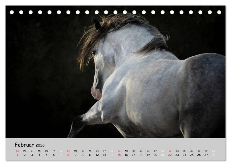Produktbild: Pferde - Anmut und St&auml;rke gepaart mit Magie (Tischkalender 2026 DIN A5 quer), CALVENDO Monatskalender