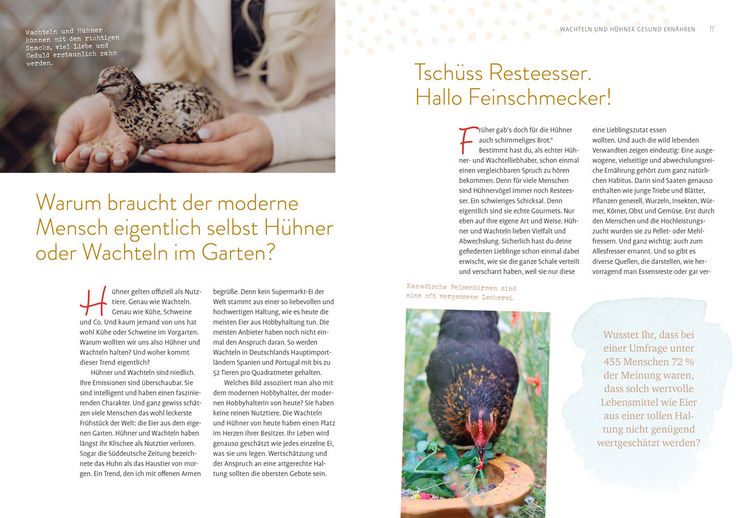 Produktbild: Was sucht das Huhn im Kr&auml;uterbeet?