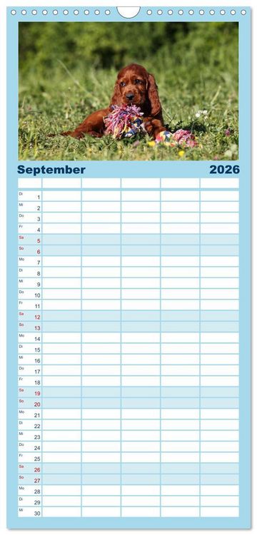 Produktbild: Familienplaner 2026 - Welpen - Puppies mit 5 Spalten (Wandkalender, 21 x 45 cm) CALVENDO