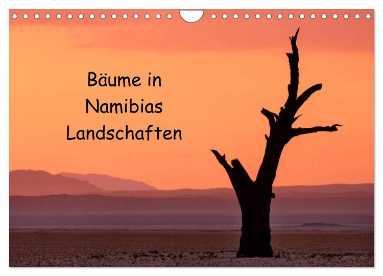 Produktbild: B&auml;ume in Namibias Landschaften (Wandkalender 2026 DIN A4 quer), CALVENDO Monatskalender
