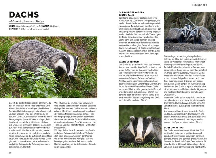 Produktbild: Die siehst du - Die Tiere um dich herum
