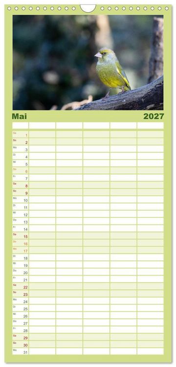 Produktbild: Familienplaner 2027 - Der Kernbei&szlig;er und seine gefiederten Gesellen mit 5 Spalten (Wandkalender, 21 x 45 cm) CALVENDO
