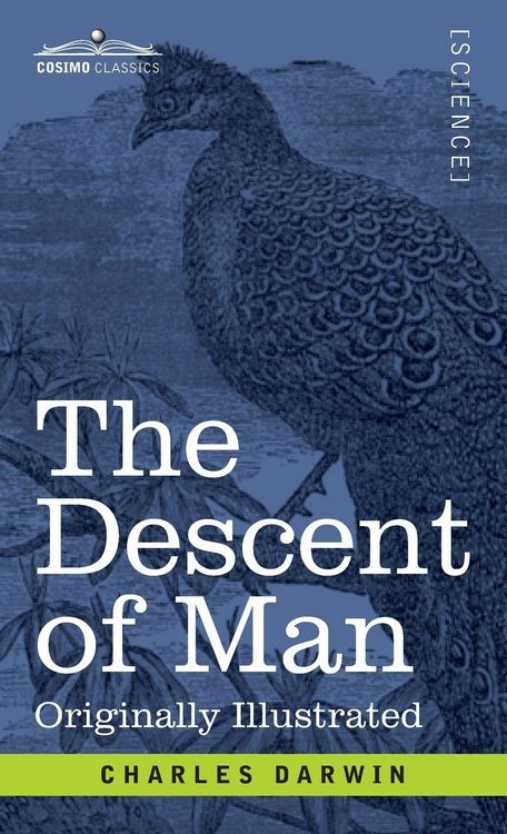 Produktbild: The Descent of Man