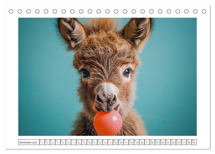 Produktbild: Lustige Eselgeschichten (Tischkalender 2026 DIN A5 quer), CALVENDO Monatskalender