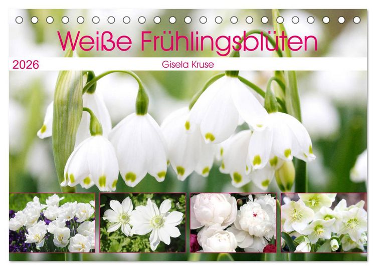 Produktbild: Wei&szlig;e Fr&uuml;hlingsbl&uuml;ten (Tischkalender 2026 DIN A5 quer), CALVENDO Monatskalender