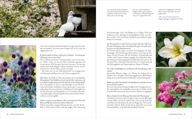 Produktbild: Der Garten meines Vaters Karl Foerster