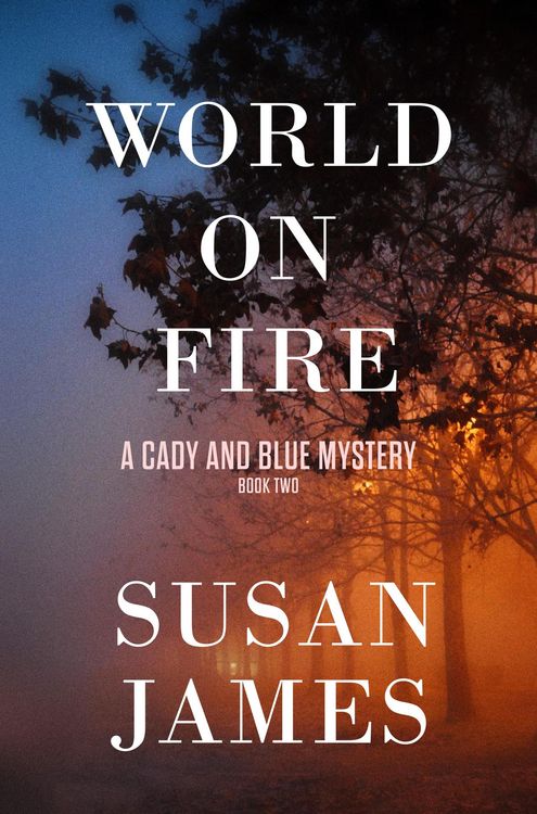 Produktbild: World on Fire (Cady and Blue Mystery, #2)