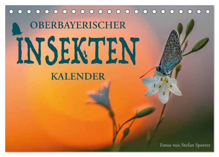 Produktbild: Oberbayerischer Insekten Kalender (Tischkalender 2026 DIN A5 quer), CALVENDO Monatskalender