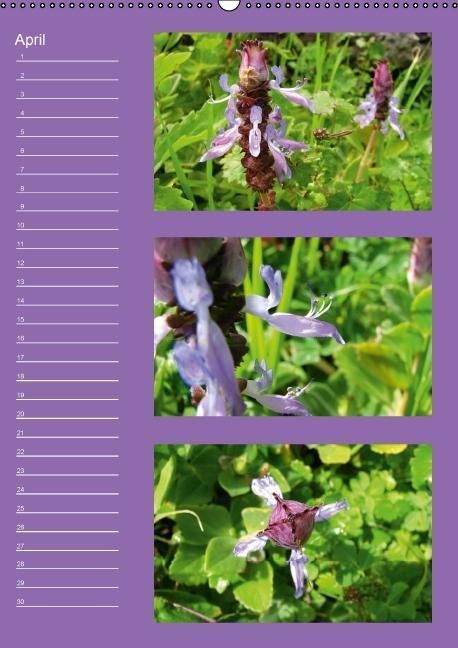 Produktbild: Zauberwelt der Blumen - Eiskristalle & Wasserperlen / Geburtstagskalender (Wandkalender immerw&auml;hrend DIN A2 hoch)