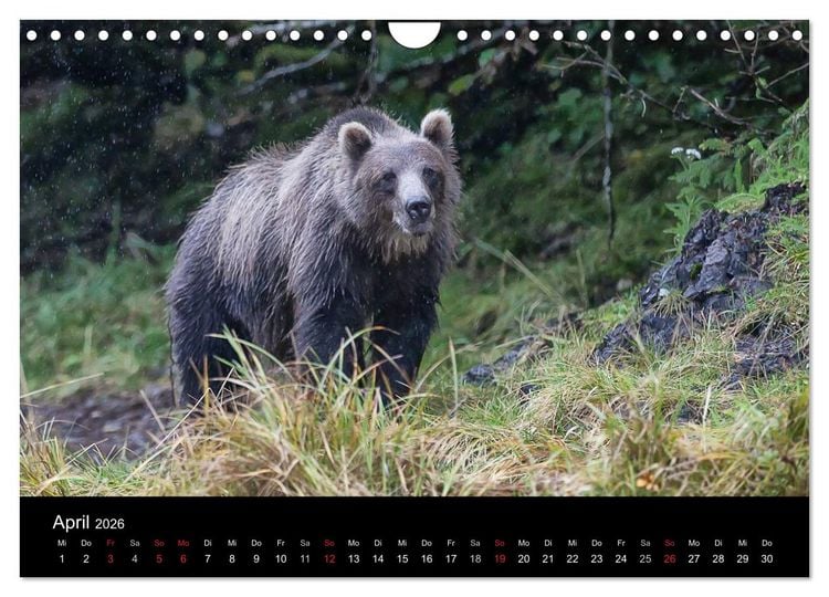 Produktbild: FASZINATION ALASKA Expedition durch die Inside Passage (Wandkalender 2026 DIN A4 quer), CALVENDO Monatskalender
