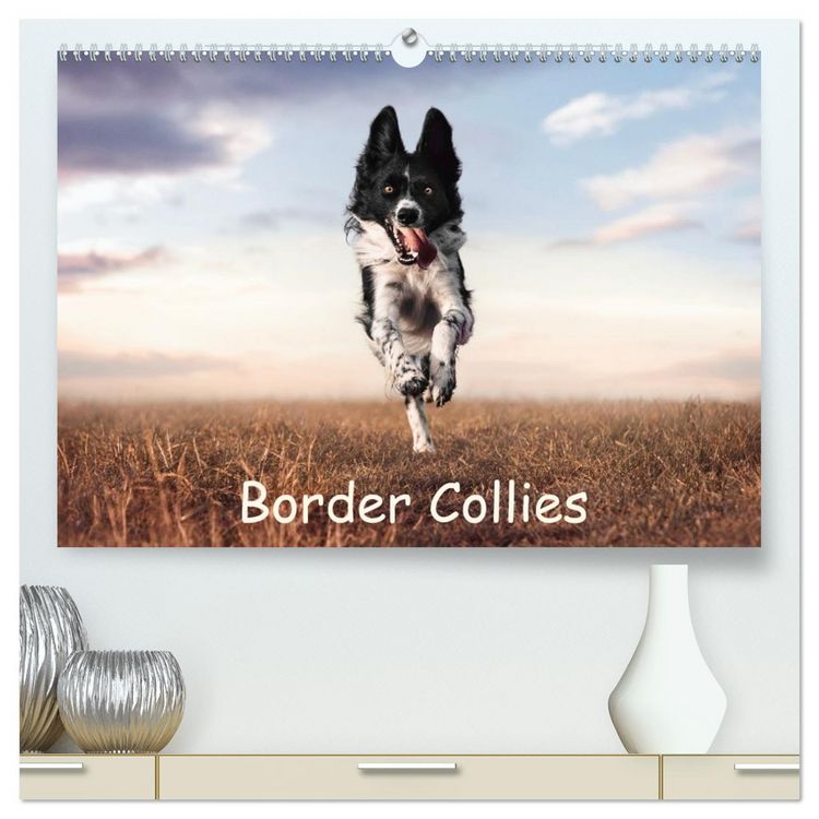 Produktbild: Border Collie Kalender &ndash; Ausdrucksstarke Close-up-Portraits durch die Jahreszeiten (hochwertiger Premium Wandkalender 2027 DIN A2 quer), Kunstdruck in Hochglanz