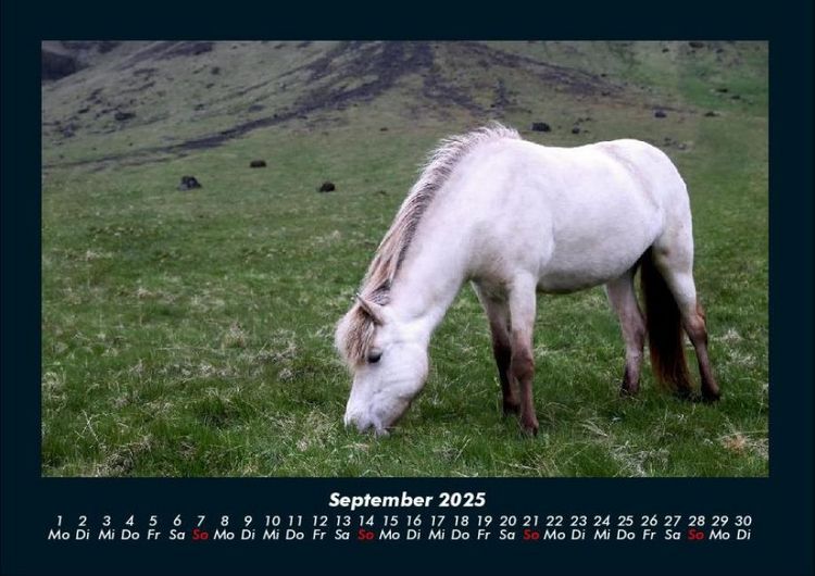 Produktbild: Die Welt der Pferde 2025 Fotokalender DIN A4