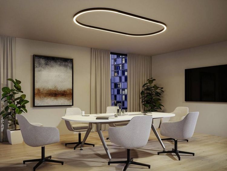 Produktbild: Paulmann 98172 Linion LED-Deckenleuchte LED 6.5W Schwarz