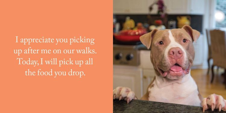 Produktbild: Thanks for Picking Up My Poop