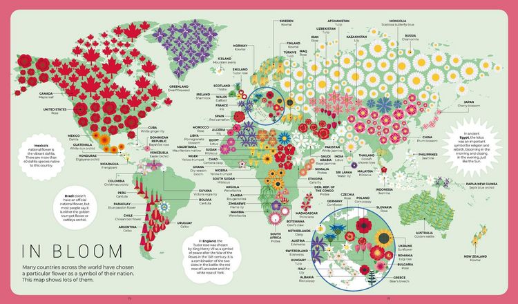 Produktbild: Lonely Planet Kids Maptacular!
