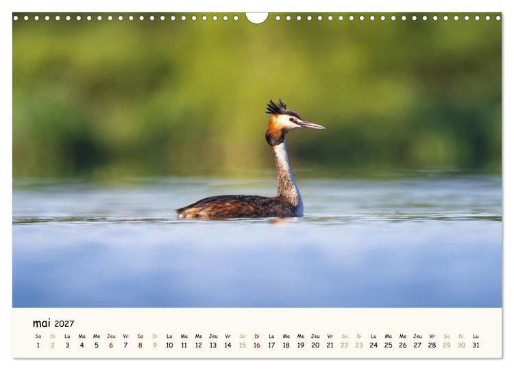 Produktbild: Esprit animal - Regards minimalistes (Calendrier mural 2027 DIN A3 vertical), CALVENDO calendrier mensuel