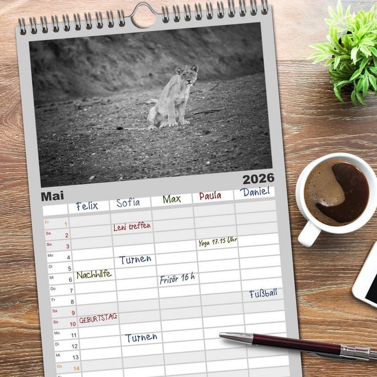 Produktbild: Familienplaner 2026 - L&ouml;wen schwarz wei&szlig; mit 5 Spalten (Wandkalender, 21 x 45 cm) CALVENDO