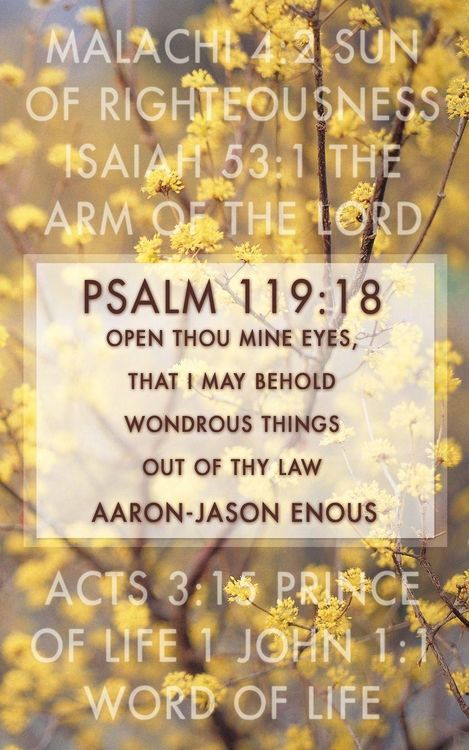 Produktbild: Psalm 119