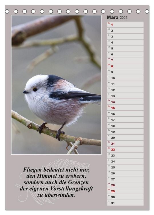 Produktbild: Schwanzmeisen, die niedlichen kleinen Pfannenstielchen (Tischkalender 2026 DIN A5 hoch), CALVENDO Monatskalender