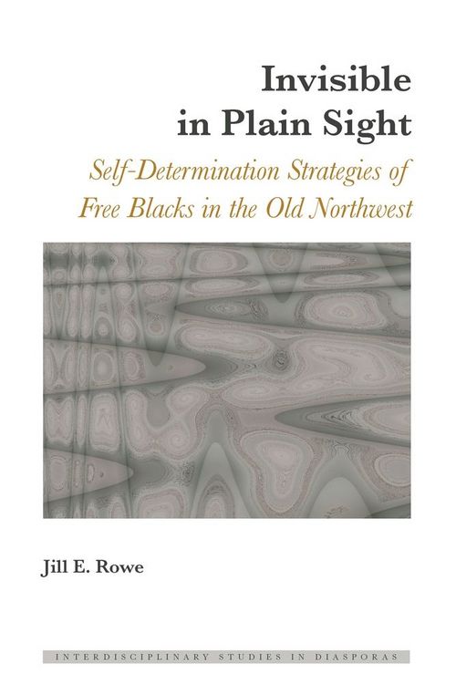Produktbild: Invisible in Plain Sight