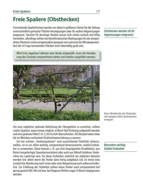 Produktbild: Spalierobst f&uuml;r Mauer, Hecke, Pergola...