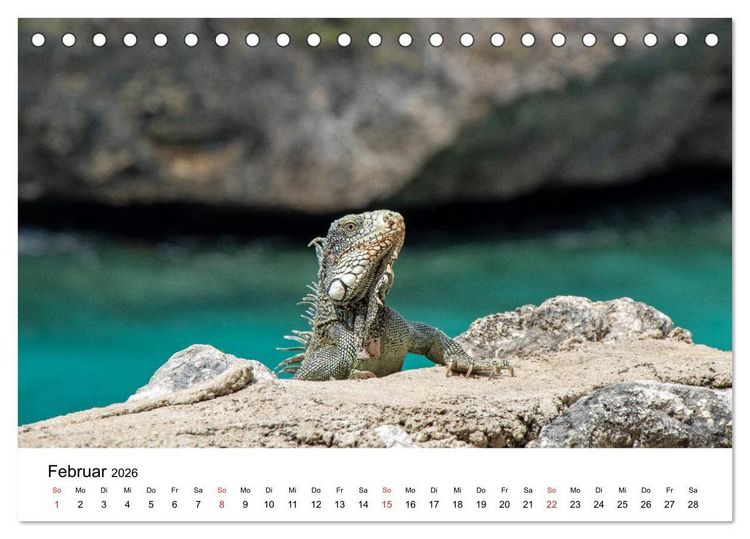 Produktbild: Curacao, die facettenreiche Karibikinsel (Tischkalender 2026 DIN A5 quer), CALVENDO Monatskalender