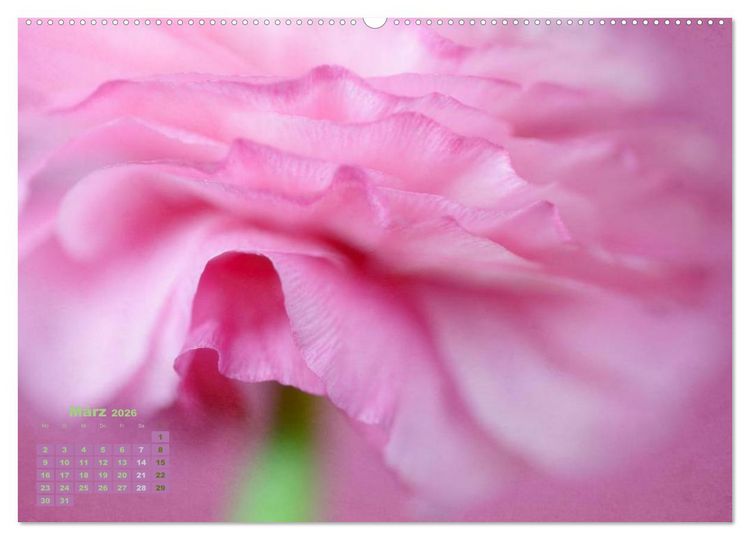 Produktbild: Zauberhafte Bl&uuml;ten (Wandkalender 2026 DIN A2 quer), CALVENDO Monatskalender
