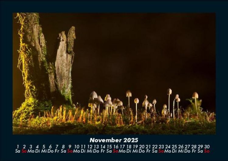 Produktbild: Naturlandschaften 2025 Fotokalender DIN A5
