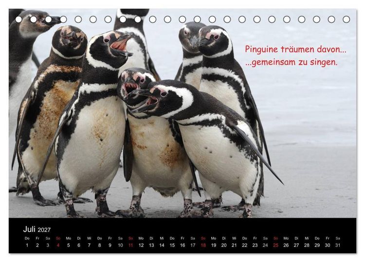 Produktbild: Wovon Pinguine tr&auml;umen (Tischkalender 2027 DIN A5 quer), CALVENDO Monatskalender