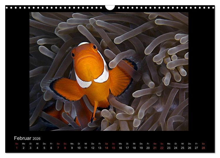 Produktbild: Ocean-Art / CH-Version (Wandkalender 2026 DIN A3 quer), CALVENDO Monatskalender