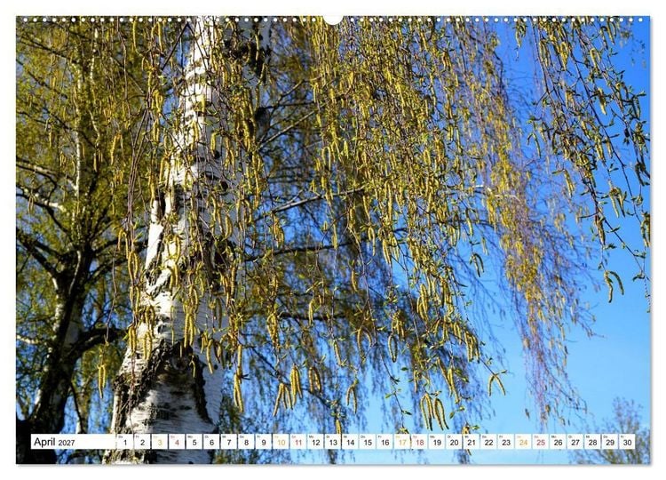 Produktbild: 12 Monate Natur (hochwertiger Premium Wandkalender 2027 DIN A2 quer), Kunstdruck in Hochglanz