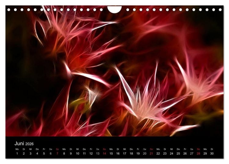 Produktbild: Floral Abstrakt 2026 (Wandkalender 2026 DIN A4 quer), CALVENDO Monatskalender