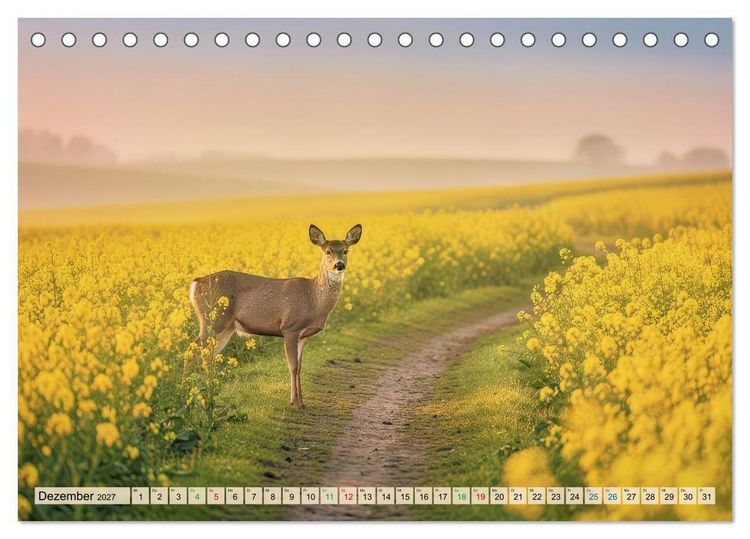 Produktbild: Zwischen den Feldern (Tischkalender 2027 DIN A5 quer), CALVENDO Monatskalender