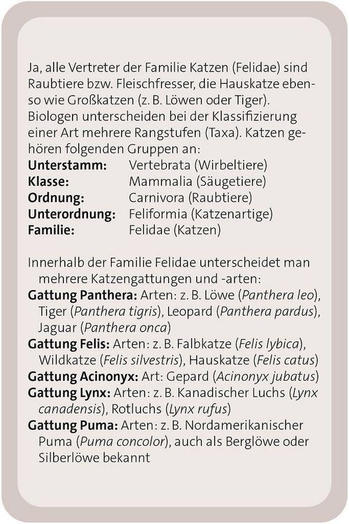 Produktbild: Das gro&szlig;e Katzen Quiz